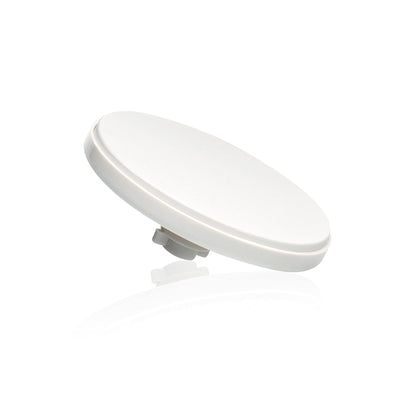 Ceramic Pre-filter Replacement by Santevia | Designed for SANTEVIA's Gravity Water System | Removes Particles From Water | 0.3 Micron Pore Size