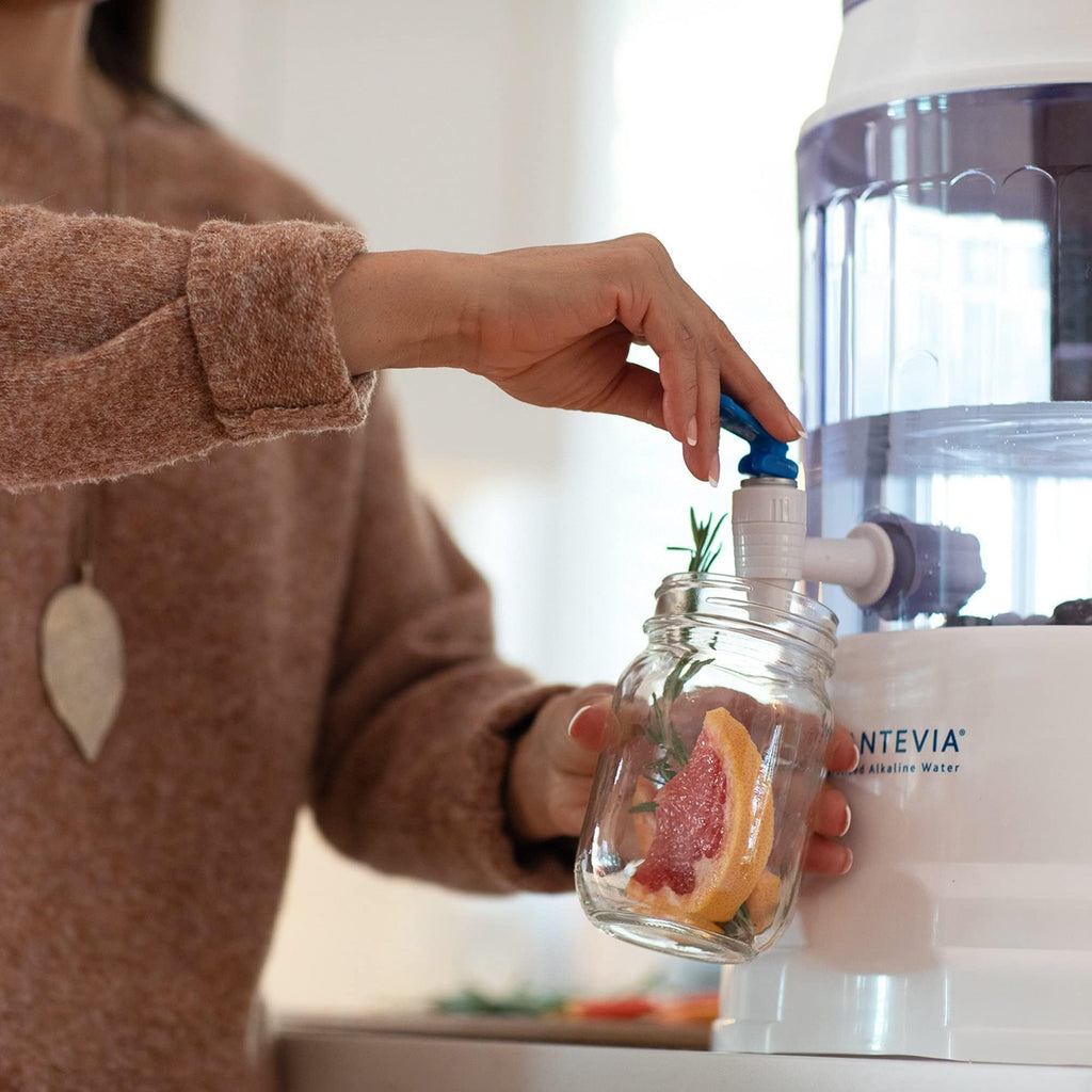 Santevia Gravity Water System | Alkaline Water Filter and Dispenser | Home Chlorine and Fluoride Filter | Countertop Water Dispenser
